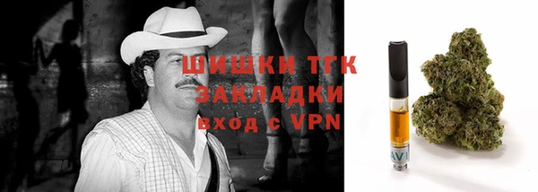 стаф Бородино