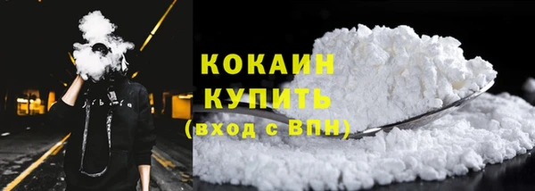 стаф Бородино