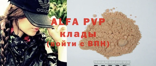 стаф Бородино