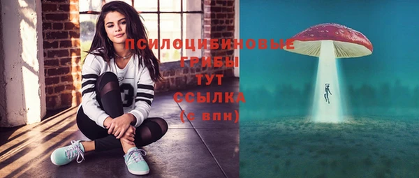 гидра Осинники